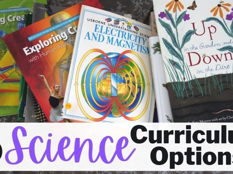 Optimizing Elementary Education: Selecting the Best Homeschooling Curriculum