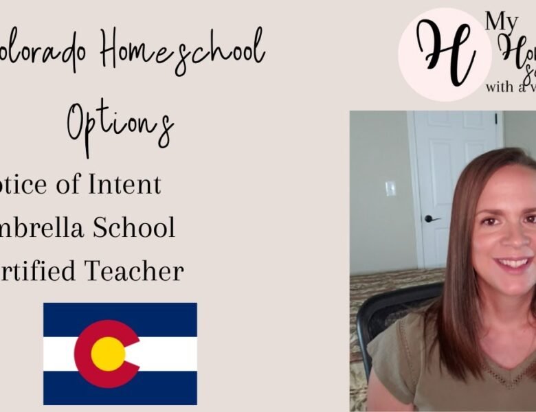 Exploring Homeschool Enrichment Programs in Colorado Springs: Elevating Education Beyond the Classroom